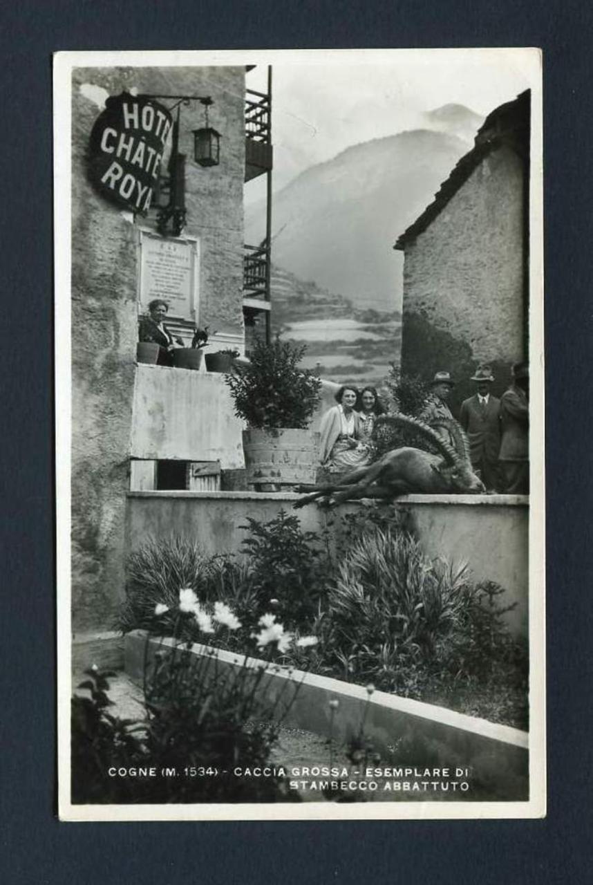 Residence Chateau Royal Cogne Exterior photo